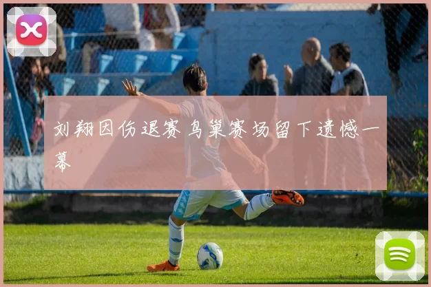 刘翔因伤退赛鸟巢赛场留下遗憾一幕