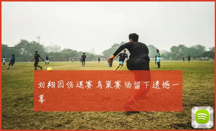 刘翔因伤退赛鸟巢赛场留下遗憾一幕